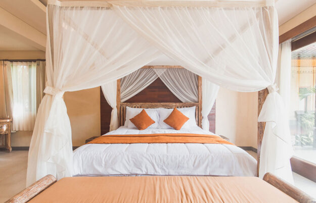 Maecenas ullamcorper